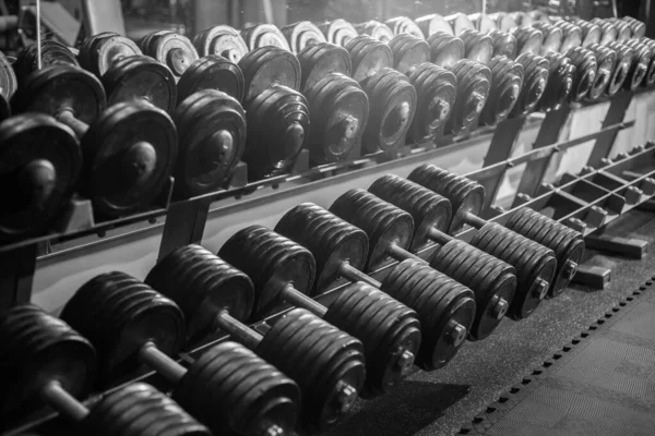 Viele Schwere Metallhanteln Auf Einem Gestell Der Turnhalle Freies Gewichtstraining — Stockfoto