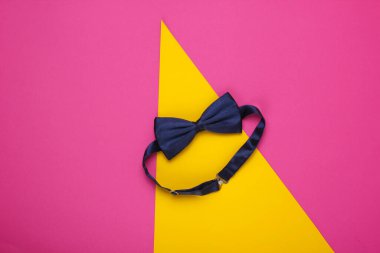 Renkli kağıt arkaplanda papyon. Üst görünüm.