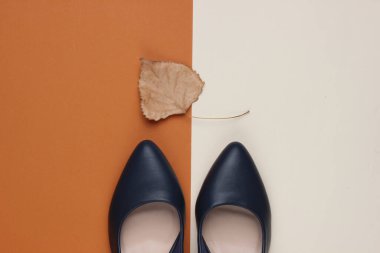 Sonbahar koleksiyonu. Deri yüksek topuklu ayakkabılar, arka planda kuru sonbahar yaprağı. Stüdyo çekimi. Üst görünüm