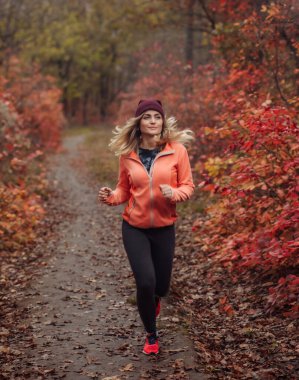 Sonbahar ormanında koşuyor. Spor kıyafetli genç bir kadın orman yolunda kırmızı yapraklarla koşuyor. Sağlıklı yaşam tarzı kavramı