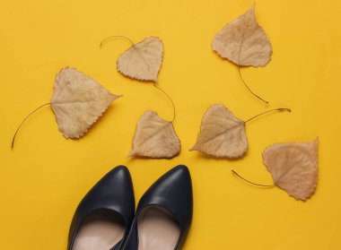 Beyaz arka planda yüksek topuklu deri ayakkabılar ve sarı arka planda kurumuş sonbahar yaprakları. Sonbahar koleksiyonu. Üst görünüm