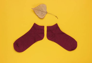 Sonbahar geldi. Sarı arka planda kurumuş yaprağı olan kırmızı çoraplar. Üst görünüm