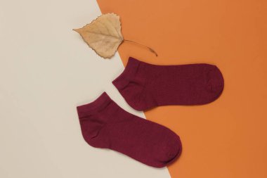 Sonbahar geldi. Kağıt arkaplanda kurumuş yapraklı turuncu çoraplar..