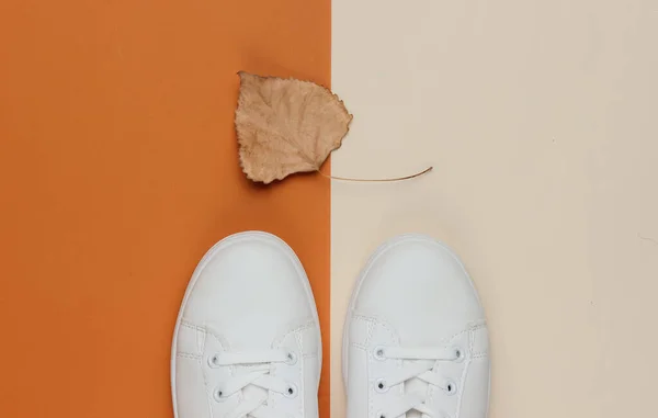 Autumn collection. White sneakers with a dry autumn leaf on colored paper background. Studio shot. Top view