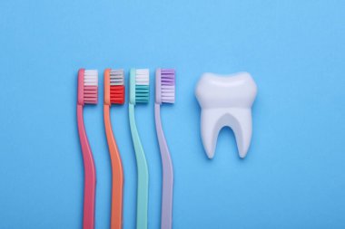 Mavi arka planda diş fırçası ve diş modeli