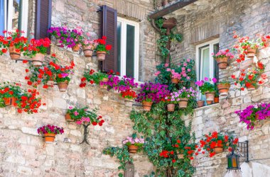 İtalya, Umbria, Assisi, eski ülke merkezi eski bir evde cephe