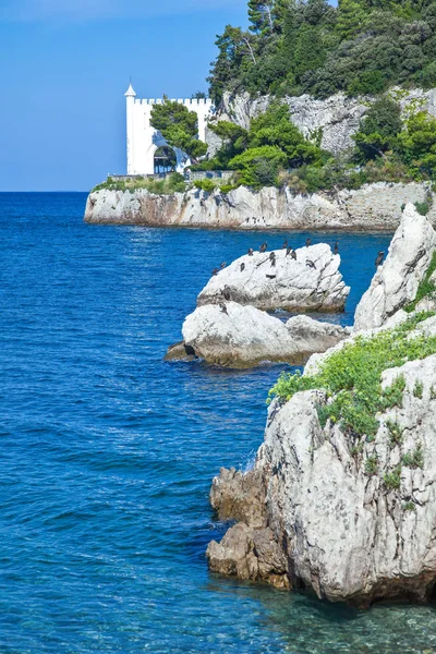 Italië Trieste Het Zeereservaat Miramare — Stockfoto