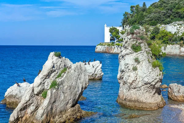 Italien Trieste Miramare Marina Reservatet — Stockfoto