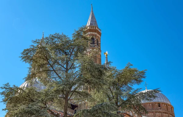 Italië Padua Zijaanzicht Van Koepels Torens Van Antony Basiliek — Stockfoto