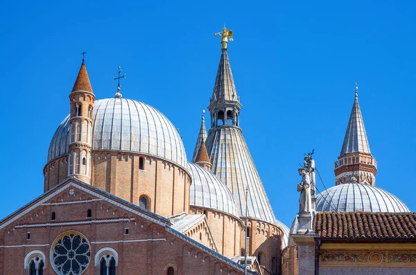Italy Padua Detail Domes Tower Antony Basilica — Stock Photo, Image
