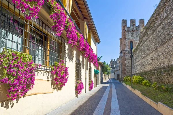 Lasize Italy August 2008 Garda Lake Traditional Houses Flowers Front — Stock Photo, Image