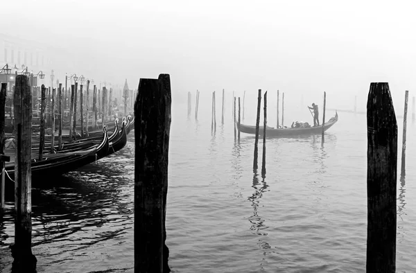 Венеция Италия Декабря 2014 Года Гондольер Риве Дегли Скьявони Туманный — стоковое фото