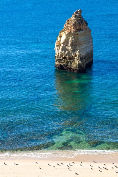 Πορτογαλία Algarve Περιοχή Carvoaeiro Praia Marinha — Φωτογραφία Αρχείου