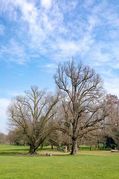 Monza Italië Bomen Het Park Van Villa Royal — Stockfoto