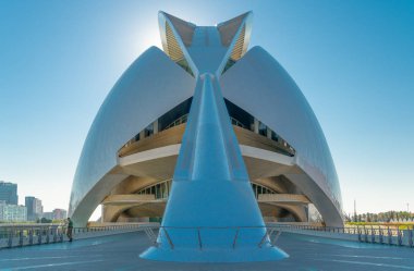 Valencia, İspanya - Octuber 15, 2016: Şehir Sanat ve Bilimler Calatrava mimar tarafından. Des Artes Sarayı ve Opera Binası