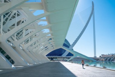 Valencia, İspanya - Octuber 15, 2016: Şehir Sanat ve Bilimler Calatrava mimar tarafından. Yan alan Bilimleri Müzesi Sarayı ziyaret