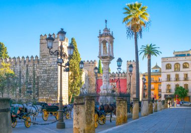 Sevilla, İspanya - 8 Aralık 2014: Arabaları Reales Alcazares Meydanı'nda