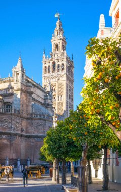 Sevilla, İspanya - 8 Aralık 2014: Görünüm ön planda portakal ağaçları ile katedral