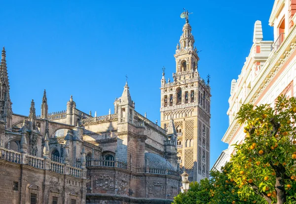 Espanha Andaluzia Sevilha Vista Catedral Com Laranjeiras Primeiro Plano — Fotografia de Stock