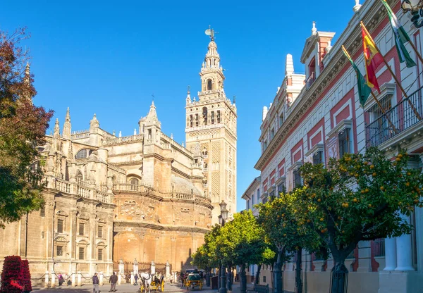 Seville Spain December 2014 View Cathedral Orange Trees Foreground — Stock Photo, Image