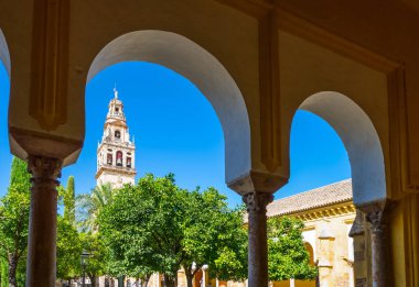 Cordoba, İspanya - 27 Ağustos 2014: Turuncu üç avlusu Katolik Katedrali olarak eski Ulu Cami (La Endülüs) reconsacred