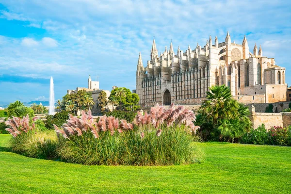 Španělsko Palma Mallorca Výhled Katedrálu Zahradou Popředí — Stock fotografie