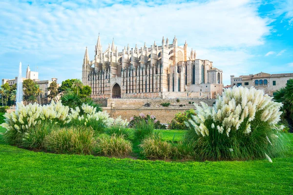 Španělsko Palma Mallorca Výhled Katedrálu Zahradou Popředí — Stock fotografie