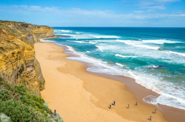 Port Campbel, Avustralya - 10 Ekim 2014: Turist Twelve Apostles deniz parkının sahilde