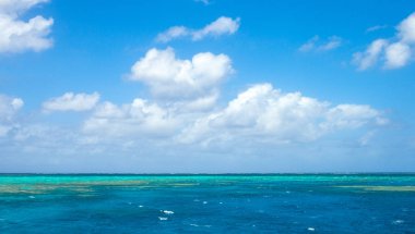 Avustralya, Queensland, Port Douglas, büyük bariyer Deniz Parkı