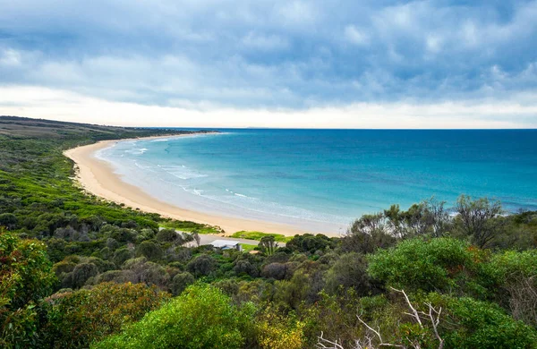 Australia Great Ocean Road Anglesea Vista Costa Serf —  Fotos de Stock