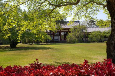 Nara, sekizinci yüzyılın eski başkenti