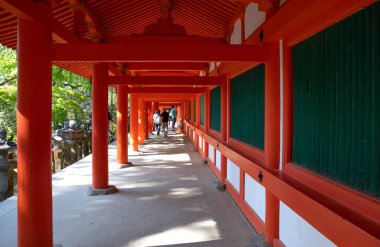 Nara, sekizinci yüzyılın eski başkenti