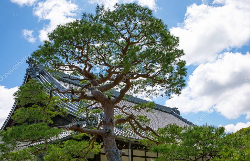 Kyoto, the ancient capital of the country