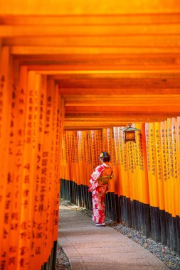 kyoto, ülkenin antik başkenti