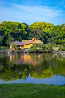 Tokyo, modernite ve geleneğin bir karışımı