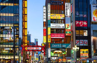 Tohyo, modernite ve geleneğin bir karışımı