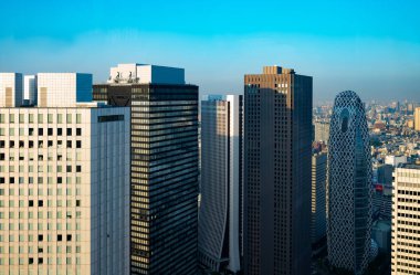 Tokyo, modernite ve geleneğin bir karışımı