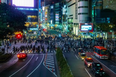 Tokyo, modernite ve geleneğin bir karışımı