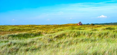 Jutland antik mimarileri ve vahşi manzaralar