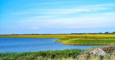 Jutland antik mimarileri ve vahşi manzaralar