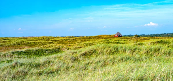 Jutlandia arquitecturas antiguas y paisajes salvajes —  Fotos de Stock