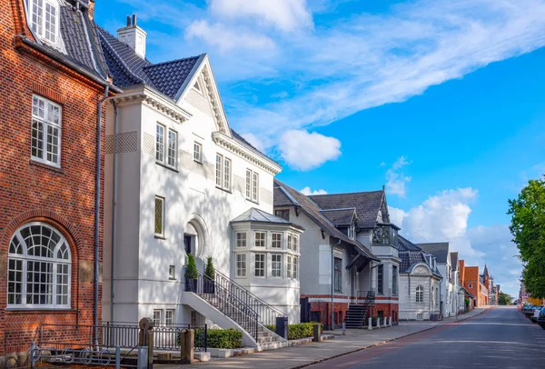 Jütländische Architektur und wilde Landschaften — Stockfoto