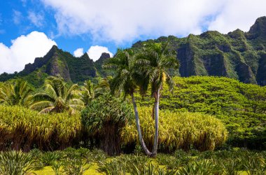 Hawaii, Doğa, tarih ve mimari