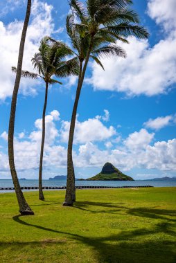 Hawaii, Doğa, tarih ve mimari