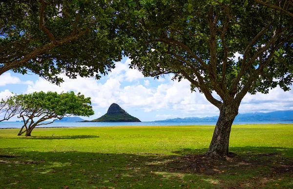 Гаваї, природа, історія і архітектура — стокове фото