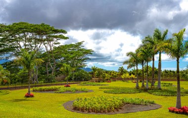 Hawaii, Doğa, tarih ve mimari