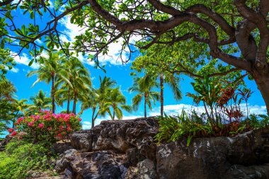 Hawaii, Doğa, tarih ve mimari