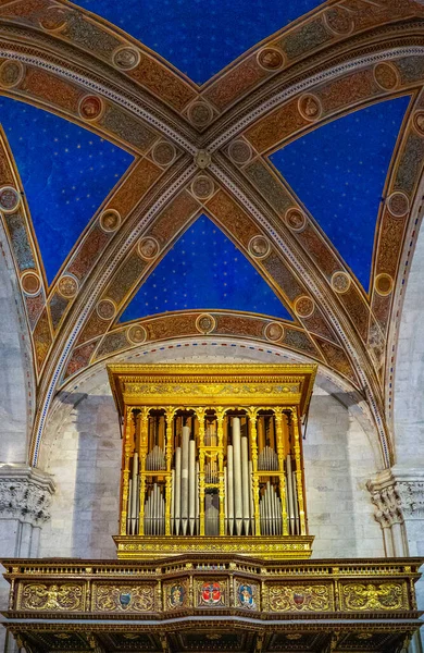 Lucca Italië Juni 2018 Het Orgel Van Kathedraal Van San — Stockfoto