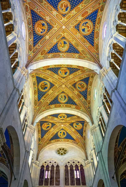 意大利卢卡 2018年6月5日 圣马丁诺主教座堂的装饰拱顶 — 图库照片