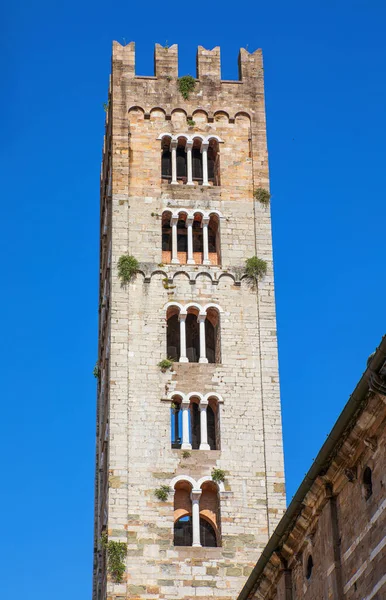 Lucca Italien Det Medeltida Klocktornet San Frediano Basilikan — Stockfoto